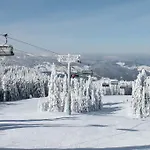 Snezhanka A425 Apartment Pamporovo
