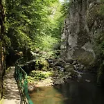 公寓 Snezhanka A425 潘波洛沃