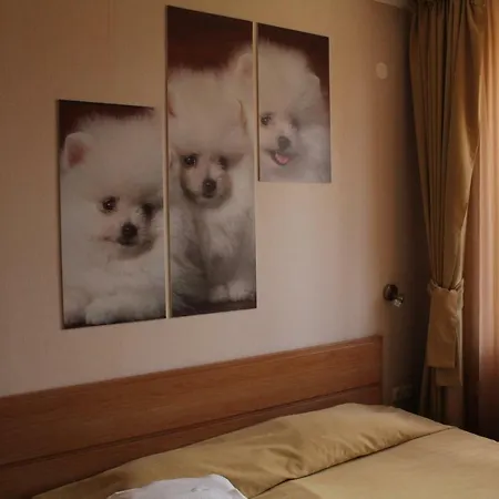 Apartment Snezhanka A425 *