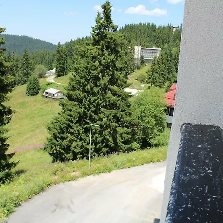 Апартаменты Snezhanka A425 Пампорово