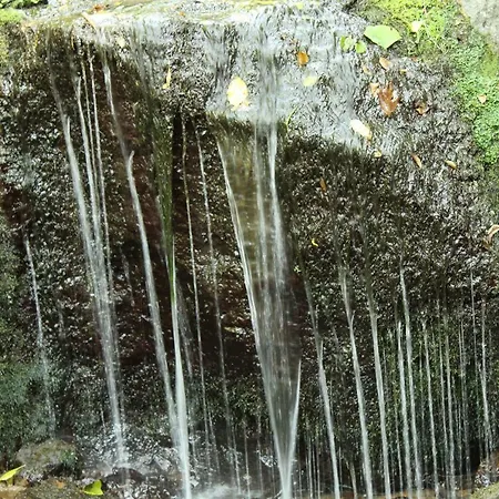 Snezhanka A425 Pamporovo