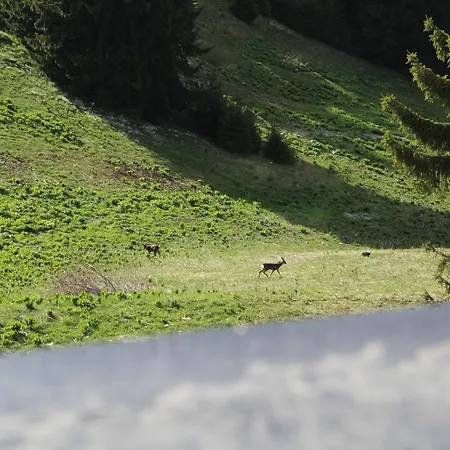 Апартаменты Snezhanka A425 *