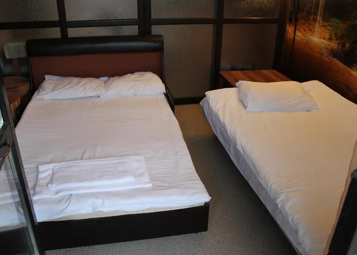 Snezhanka A425 Пампорово