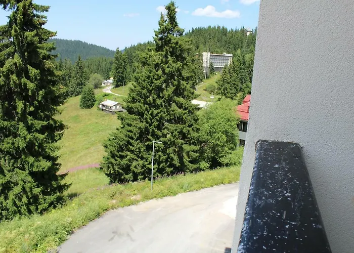 Апартаменты Snezhanka A425 Пампорово