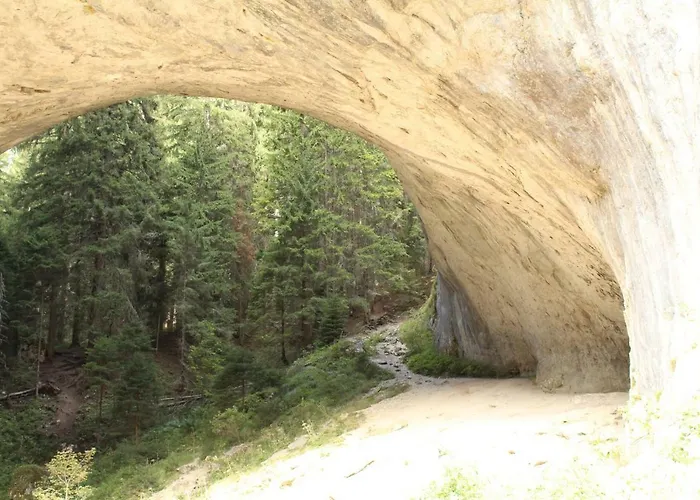 Snezhanka A425 Апартаменты *