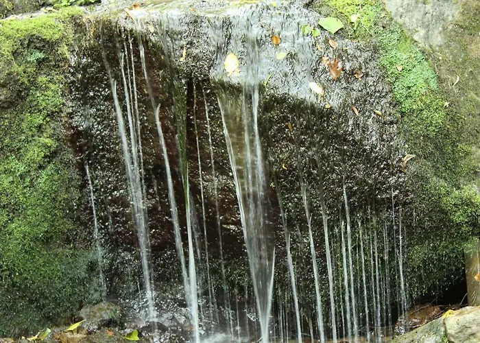 Snezhanka A425 Пампорово