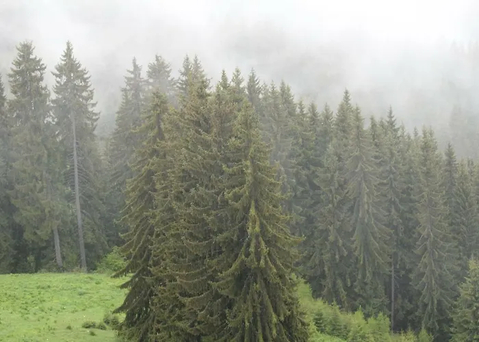 Апартаменты Snezhanka A425 *