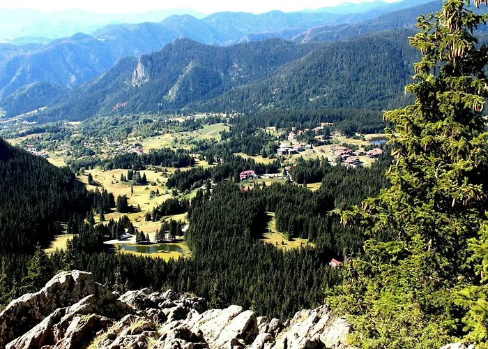 Snezhanka A425 Апартаменты *