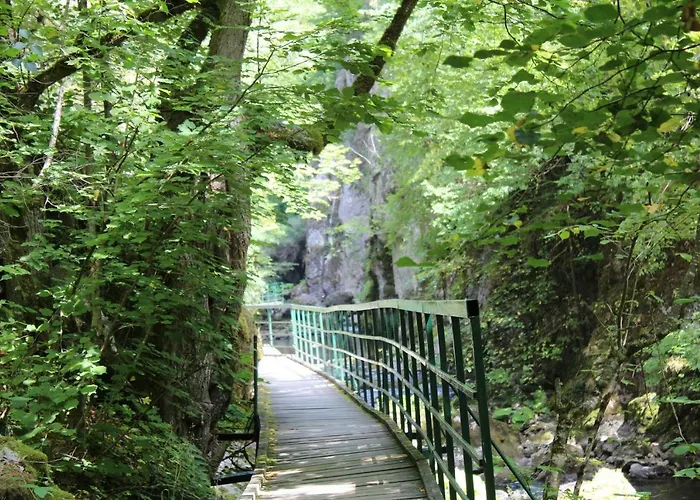 Snezhanka A425 Апартаменты *