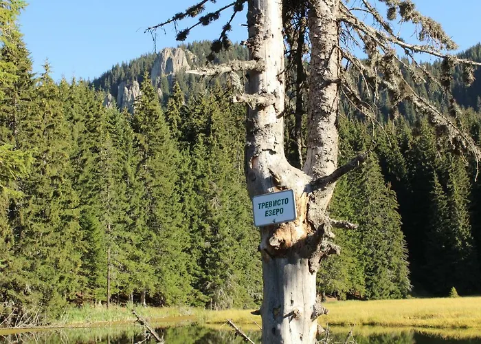 Snezhanka A425 Апартаменты