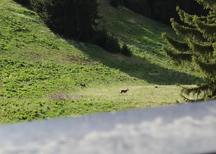 Апартаменты Snezhanka A425 *